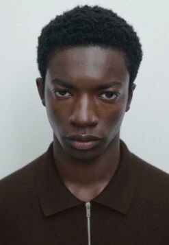 Massimo Dutti POLO COLLAR WITH ZIP - Jumper - Brown 15 Massimo Dutti POLO COLLAR WITH ZIP - Jumper - Brown -Massimo Dutti Shop 0258306f761a4774af1c3592088cb263