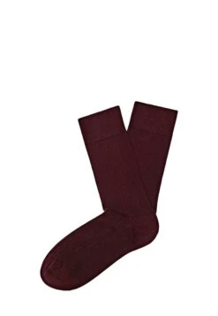 Massimo Dutti BLEND - Socks - Bordeaux
