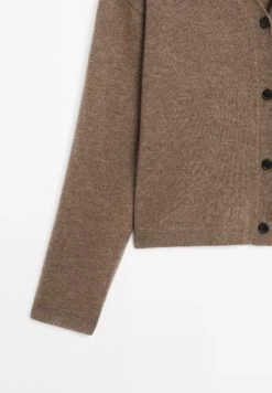 Massimo Dutti V-NECK BUTTONED KNIT - Cardigan - Brown 21 Massimo Dutti V-NECK BUTTONED KNIT - Cardigan - Brown -Massimo Dutti Shop 1078cb2c27fd4468acc9bbf295b5b830