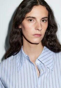 Massimo Dutti STRIPED - Button-down Blouse - Blue -Massimo Dutti Shop 1386f6d6e4c646ada61f754da5506de5