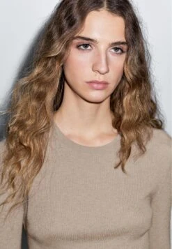 Massimo Dutti RIBBED CREW NECK - Jumper - LIGHT BROWN 17 Massimo Dutti RIBBED CREW NECK - Jumper - LIGHT BROWN -Massimo Dutti Shop 217fd6133e59475b9e521768762ab0bd