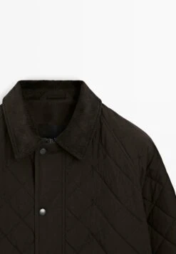 Massimo Dutti LIGH PADDING WITH CORDUROY COLLAR - Light Jacket - Dark Brown -Massimo Dutti Shop 309f9718a38e4f8a9a2172afd8e112c5