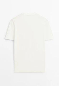 Massimo Dutti SHORT SLEEVE WITH CREW NECK - Basic T-shirt - Beige -Massimo Dutti Shop 363ebdf4c7c349378db2f36ba7e3798f