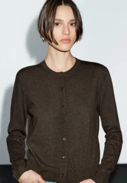 Massimo Dutti BUTTONED WITH CREW NECK - Cardigan - Mottled Dark Brown -Massimo Dutti Shop 3934d6f1f44a4d6c85202ae628c71be3