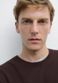 Massimo Dutti CASHMERE CREW NECK WITH LONG SLEEVES - Jumper - Lilac -Massimo Dutti Shop 3c8ce8dda87e4988bb64dcf6f5201b8b