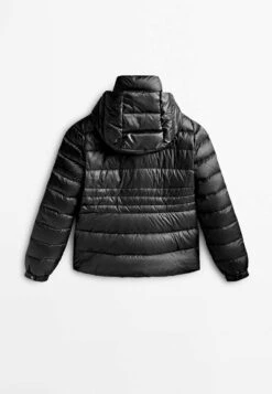 Massimo Dutti Hooded And Puffer - Down Jacket -Massimo Dutti Shop 3cbcfac1e76e45849c541a0aac85cde7