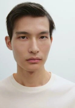 Massimo Dutti WIDE FIT SHORT SLEEVE WITH CREW NECK - Basic T-shirt - Sand -Massimo Dutti Shop 4e4c3792b581438d917e2d1a5df8aba7