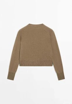 Massimo Dutti BUTTONED LONG SLEEVE WITH CREW NECK - Cardigan - Brown -Massimo Dutti Shop 4f13d1df47c249c2b4440d4148fb9af9