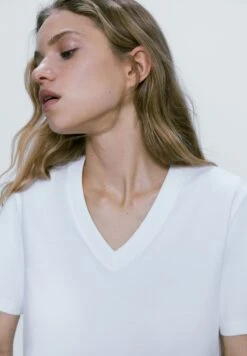 Massimo Dutti Basic T-Shirt - Beige -Massimo Dutti Shop 647bf04b93da4fc781024e36881ab513