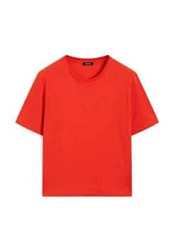 Massimo Dutti REGULAR FIT SHORT SLEEVE - Basic T-shirt - White -Massimo Dutti Shop 6a19d28fdf774e52b39584def71b4bee 3