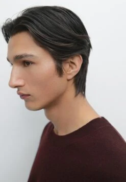 Massimo Dutti CREW NECK LONG SLEEVE - Jumper - Bordeaux -Massimo Dutti Shop 6b61ec854020464992fbea282dfc4cec