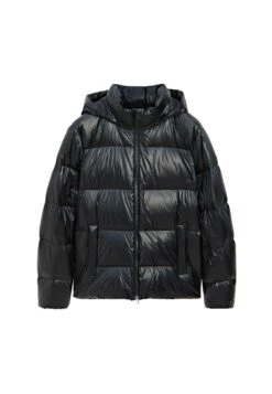 Massimo Dutti WATER-REPELLENT SATIN PUFFER - Down Coat - Dark Brown -Massimo Dutti Shop 737411600fac40708f06cd0c2e0ab096