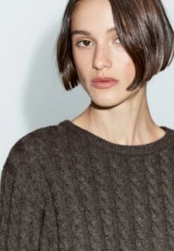 Massimo Dutti CABLE WITH CREW NECK - Jumper - Mottled Brown 14 Massimo Dutti CABLE WITH CREW NECK - Jumper - Mottled Brown -Massimo Dutti Shop 766fc48238314ac2bb4f98b57c8d4204