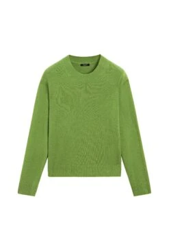 Massimo Dutti RIBBED CREW NECK - Jumper - Neon Green 18 Massimo Dutti RIBBED CREW NECK - Jumper - Neon Green -Massimo Dutti Shop 784958ee03f34c56bd6c96b7662843b9 1