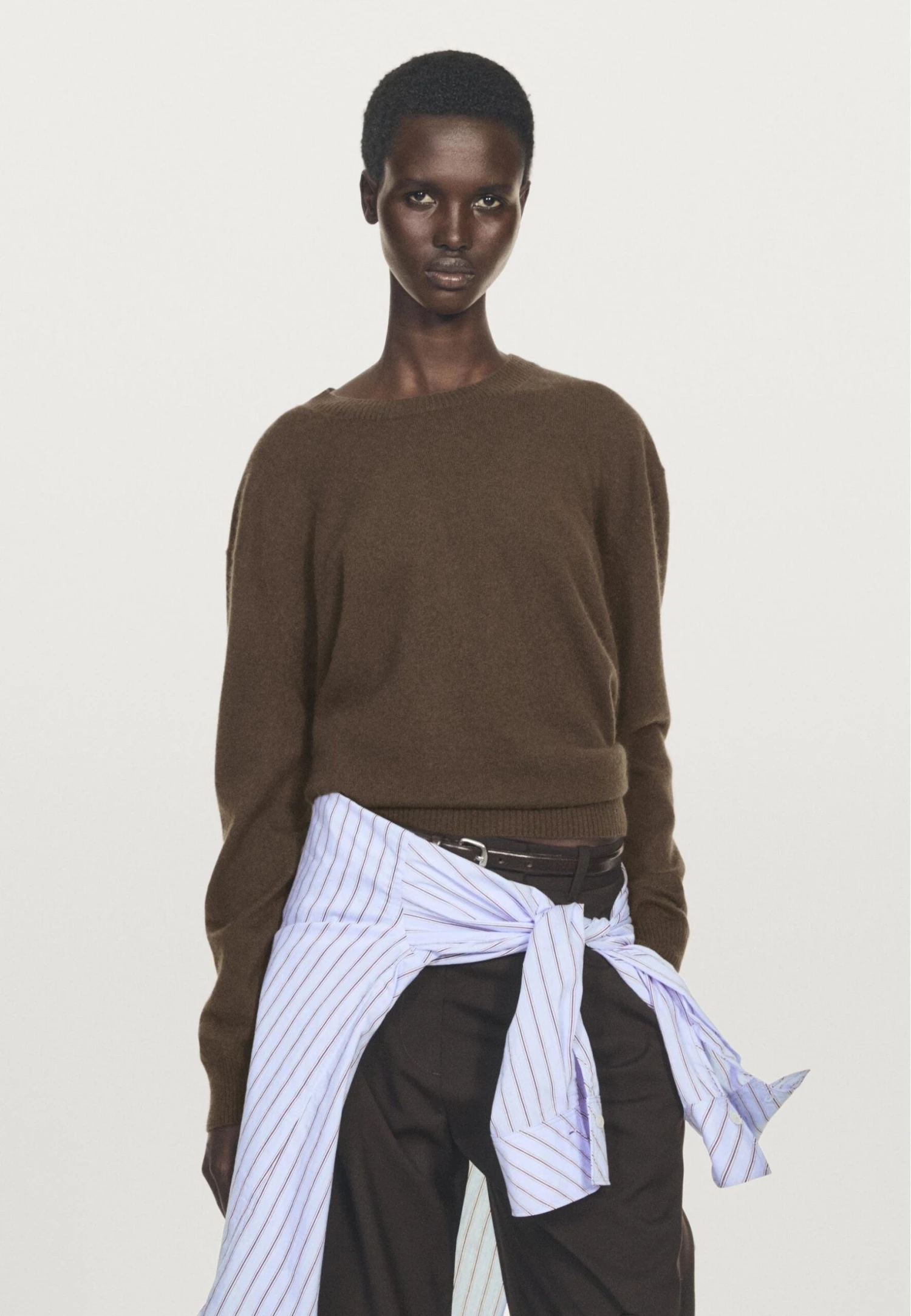 Massimo Dutti CREW NECK CASHMERE WITH LONG SLEEVES - Jumper - Dark Brown 5 Massimo Dutti CREW NECK CASHMERE WITH LONG SLEEVES - Jumper - Dark Brown - Image 3