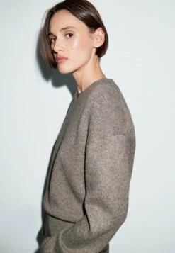 Massimo Dutti V-NECK KNIT - Jumper - Light Brown -Massimo Dutti Shop 8a34141c400a4977a49280569681650d