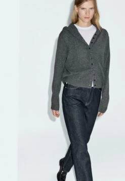 Massimo Dutti BUTTONED WITH HOOD - Cardigan - Grey