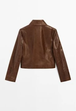 Massimo Dutti SHORT - Leather Jacket - Brown -Massimo Dutti Shop 8dbdf9969511452ead749d01b2e5303f