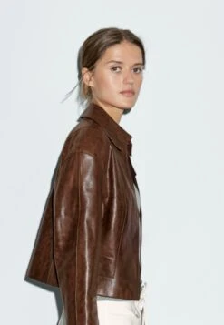 Massimo Dutti SHORT - Leather Jacket - Brown -Massimo Dutti Shop 8ffc4ef6421e40e3806eecae89329962