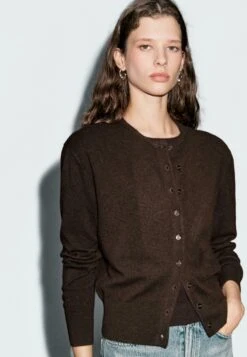 Massimo Dutti BUTTONED WITH CREW NECK - Cardigan - Dark Brown