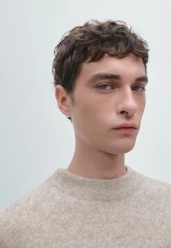 Massimo Dutti BLEND CREW NECK - Jumper - Beige -Massimo Dutti Shop 9a3894d3fde5424eb2a8a9f1d8996239