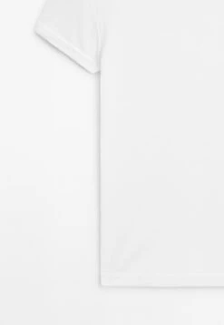 Massimo Dutti CREW NECK WITH SHORT SLEEVES - Basic T-shirt - White -Massimo Dutti Shop 9b3e0226a92241f9a80a66b11358c604