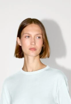 Massimo Dutti BOXY FIT SHORT SLEEVE - Basic T-shirt - Light Blue 16 Massimo Dutti BOXY FIT SHORT SLEEVE - Basic T-shirt - Light Blue -Massimo Dutti Shop a5dd558613b34ca49c91533cf33f8887