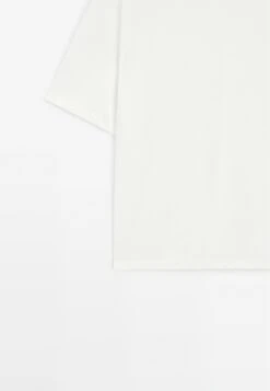 Massimo Dutti BOXY FIT SHORT SLEEVE - Basic T-shirt - White -Massimo Dutti Shop a69646e9a1dc4c6c96702291517d91dd