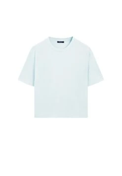 Massimo Dutti OVERSIZE WITH SEAM DETAIL - Basic T-shirt - Light Blue -Massimo Dutti Shop ace9e7732ff44083a2e0a9438f887d27