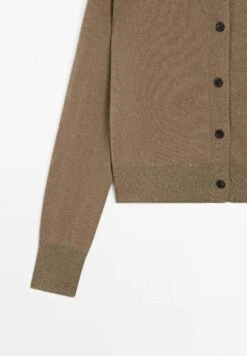 Massimo Dutti BUTTONED LONG SLEEVE WITH CREW NECK - Cardigan - Brown -Massimo Dutti Shop b26f0b0645f94780af7b9d74acee841f