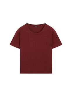 Massimo Dutti REGULAR FIT WITH COLLAR DETAIL - Basic T-shirt - Brown -Massimo Dutti Shop be53bf6be28b41fa938636ec6bea5d6e 2
