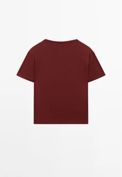 Massimo Dutti REGULAR FIT WITH COLLAR DETAIL - Basic T-shirt - Red 18 Massimo Dutti REGULAR FIT WITH COLLAR DETAIL - Basic T-shirt - Red -Massimo Dutti Shop c270466a4fd2410784f1b76567543e02