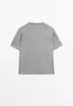 Massimo Dutti CREW NECK WITH SHORT SLEEVES - Basic T-shirt - Grey -Massimo Dutti Shop c4160e152ab041b091bc0961302ab601