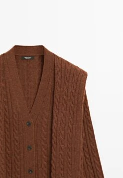 Massimo Dutti BUTTONED LONG SLEEVE WITH - Cardigan - Brown -Massimo Dutti Shop d62e05882b954e4699562652720915ac