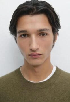 Massimo Dutti CREW NECK LONG SLEEVE - Jumper - Dark Green 21 Massimo Dutti CREW NECK LONG SLEEVE - Jumper - Dark Green -Massimo Dutti Shop d8b3c098b85444a08c622f6be35ffe0a