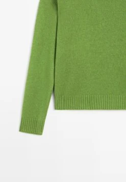 Massimo Dutti RIBBED CREW NECK - Jumper - Neon Green 22 Massimo Dutti RIBBED CREW NECK - Jumper - Neon Green -Massimo Dutti Shop e3f9865d0bfe4e3089c5a5909adb761a