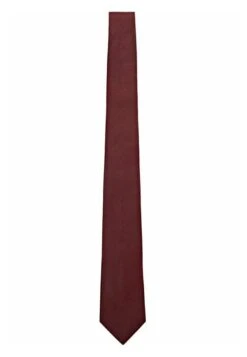 Massimo Dutti Tie - Bordeaux