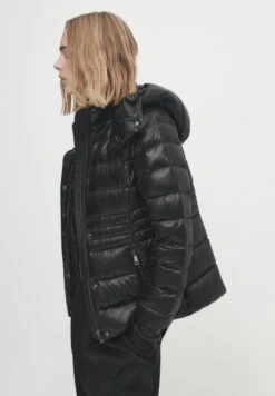 Massimo Dutti Hooded And Puffer - Down Jacket -Massimo Dutti Shop f8ae8b5df80a4ddea36d889db79c95e0